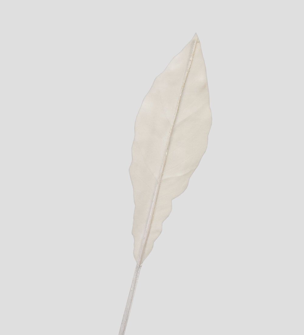 TR 605S Антуриум