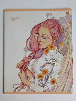 Тетради 48 листа А5+. "Ангелы", общая, клетка. Формат А5+ (163*203 мм). Арт.120018. С полями. Комплект 5 шт.