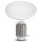 Настольная лампа Loft IT Taccia 10294/S Silver