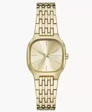 Женские часы Skagen SKW3162