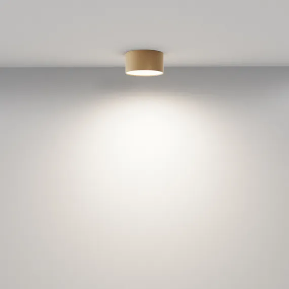 Потолочный светильник Зон / Zon 12 Вт 4000 К 120° Technical c032cl-12w4k-rd-mg