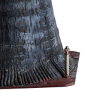 Пальма PALMERA