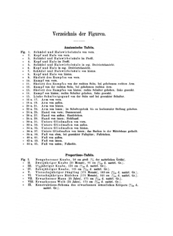 Anatomie Für Künstler | A. Froriep