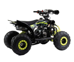 Квадроцикл MOTOLAND Raptor 110