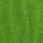 Краска по ткани и обуви, одежды акриловая «Лайм»