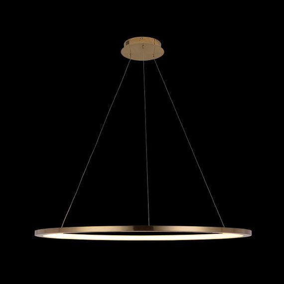 Подвесной светодиодный светильник Loft IT Ring 10014XL