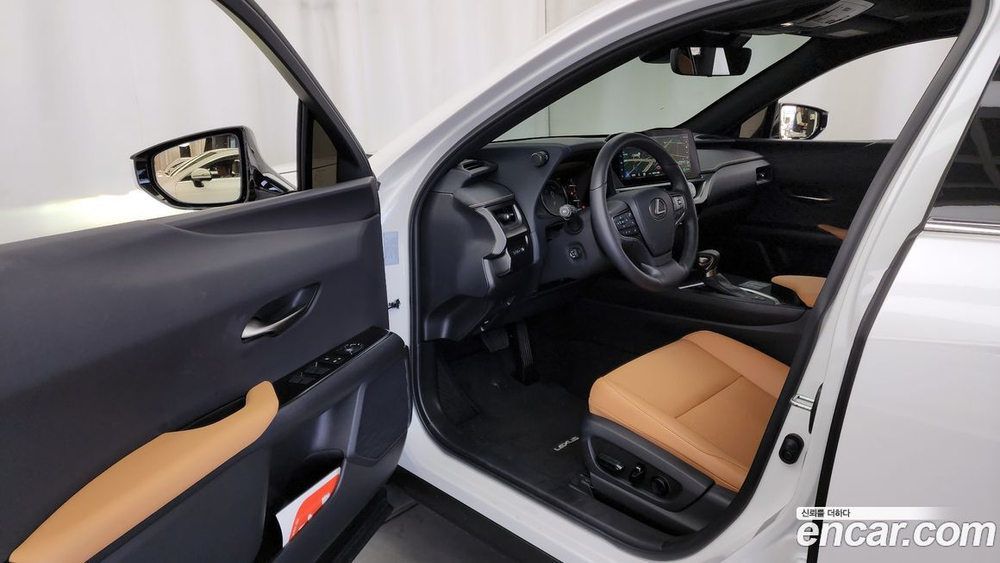 Lexus UX250h 2.0 2WD (02.2023)