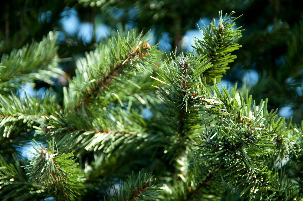 Уличная елка каркасная "Уральская" (пвх) от 4 до 30 м