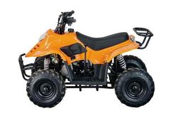 Квадроцикл STALKER 110