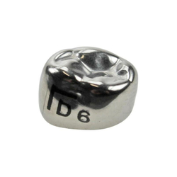 Первый нижний левый моляр, размер 6 (D-LL-6)