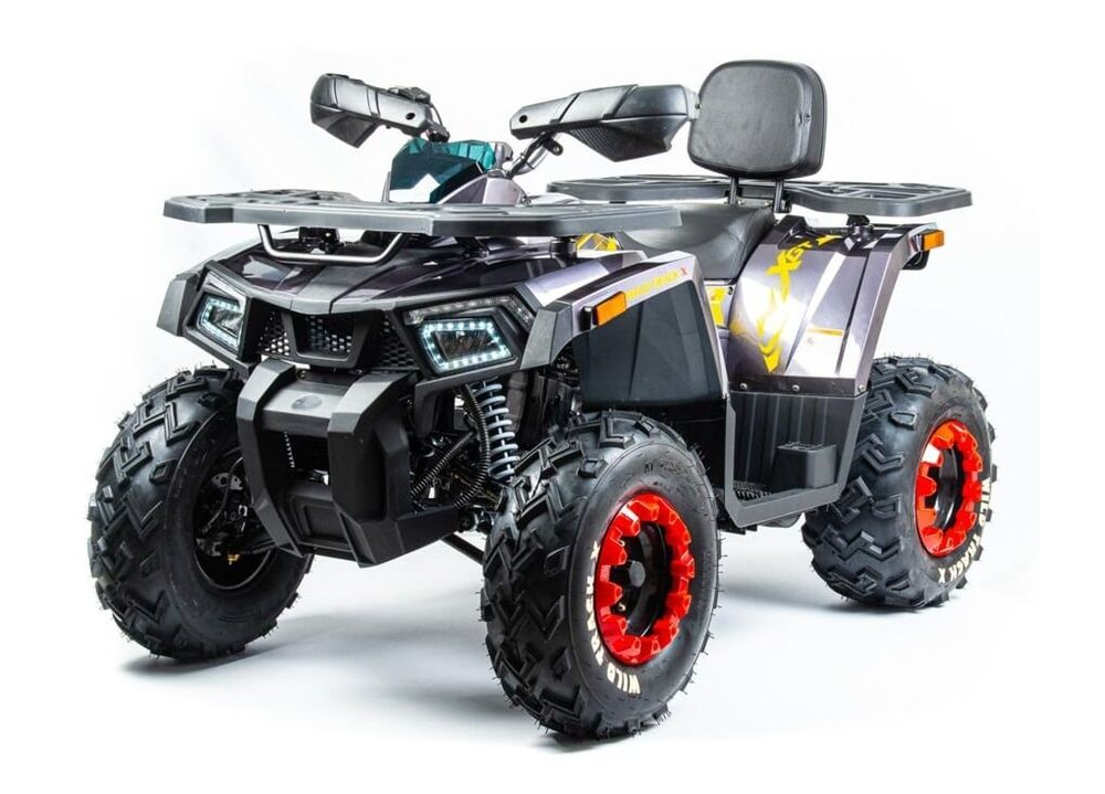 Квадроцикл MOTOLAND 200 WILD TRACK X PRO