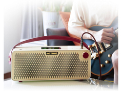 Гитарный комбоусилитель Hotone Pulze AP-30