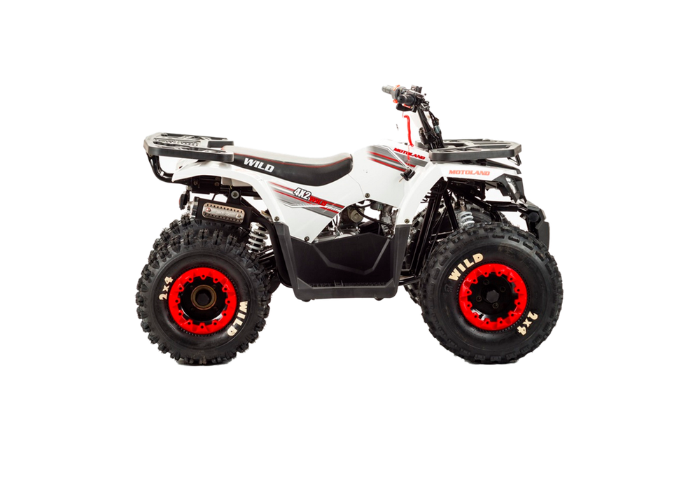 Квадроцикл Motoland 125 WILD BASIC белый