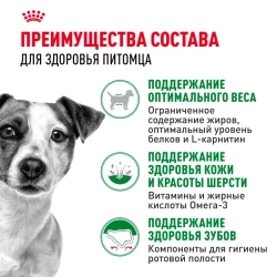 Royal canin mini adult сухой корм для собак мелких пород - 800 г