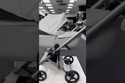 Детская коляска Anex Eli Santal