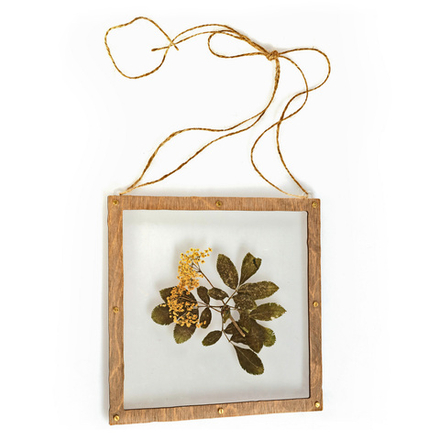 Прозрачная Рамка-основа для создания гербария