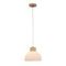 Подвесной светильник Arte Lamp Caprice A4184SP-1BR