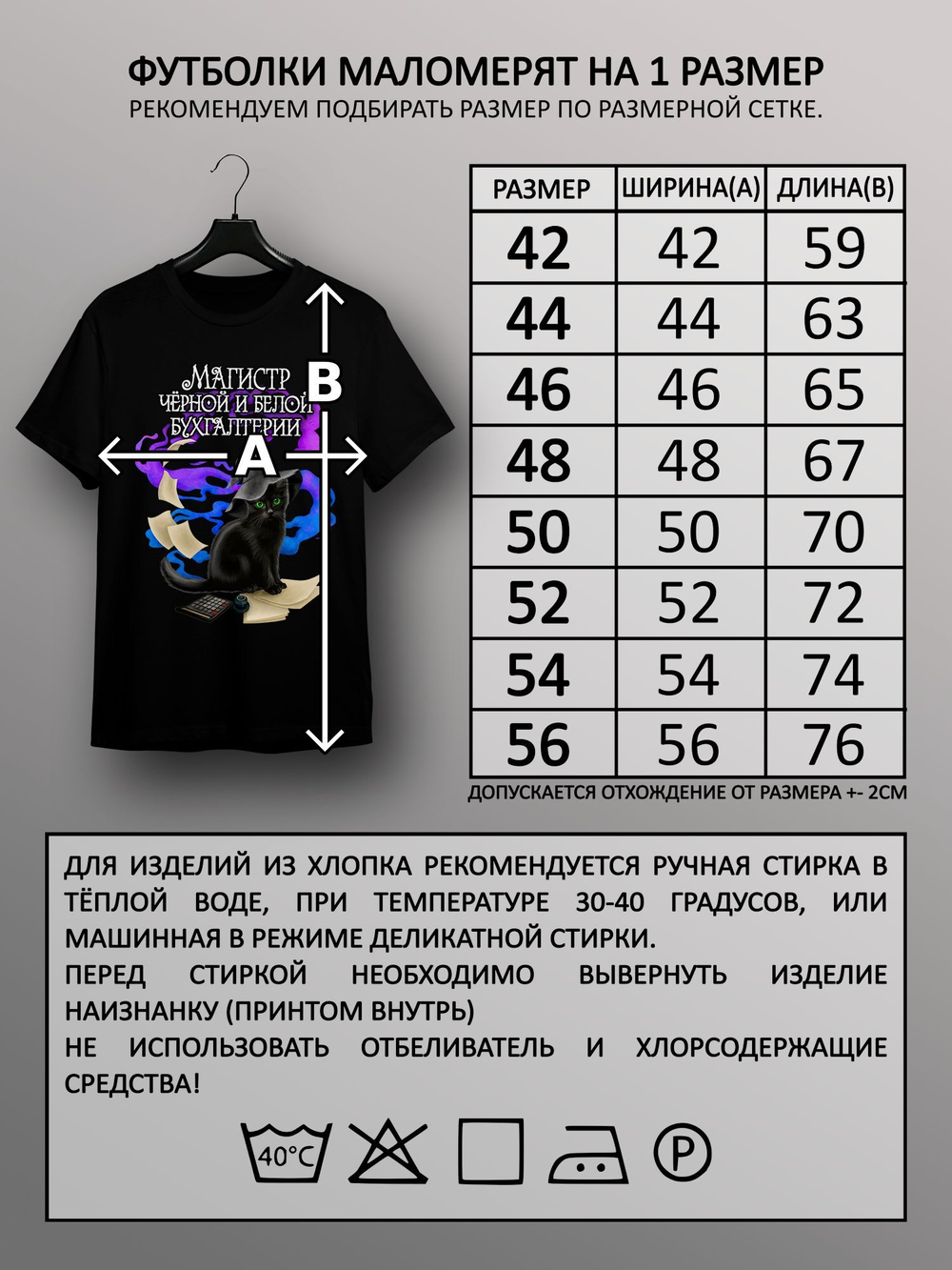 Футболка магистр бухгалтерии