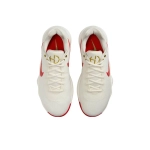 Мужские кроссовки Nike Hyperdunk 2017 Low EP 'Lunar New Year' IB4638-161