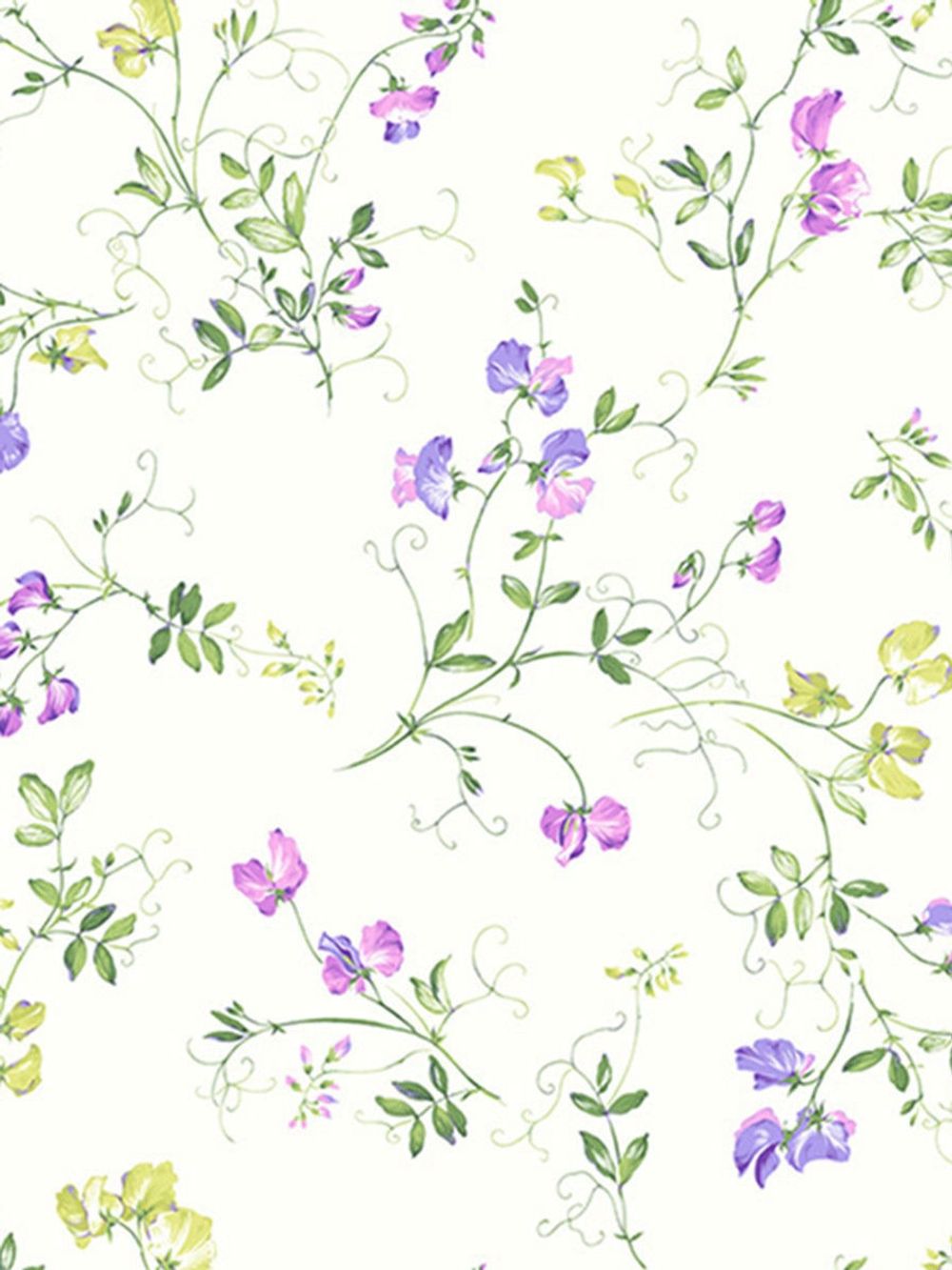 Наволочка комплект 2шт  сатин Milky Garden "Горошек" 50x70 см на молнии