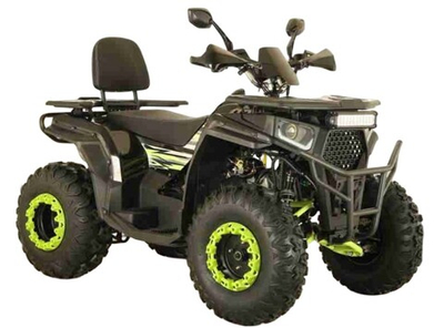Квадроцикл ATV ARMIS 250