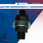 22013.0600-010C Датчик минимального давления, релейный, для газовых котлов Ардерия серии D, B, SB, Datmo.