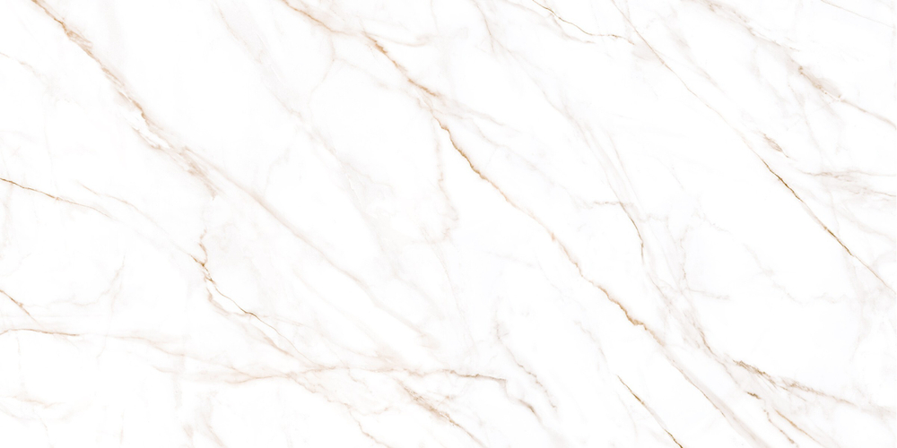 Neo Calacatta GFU60120NCL04R