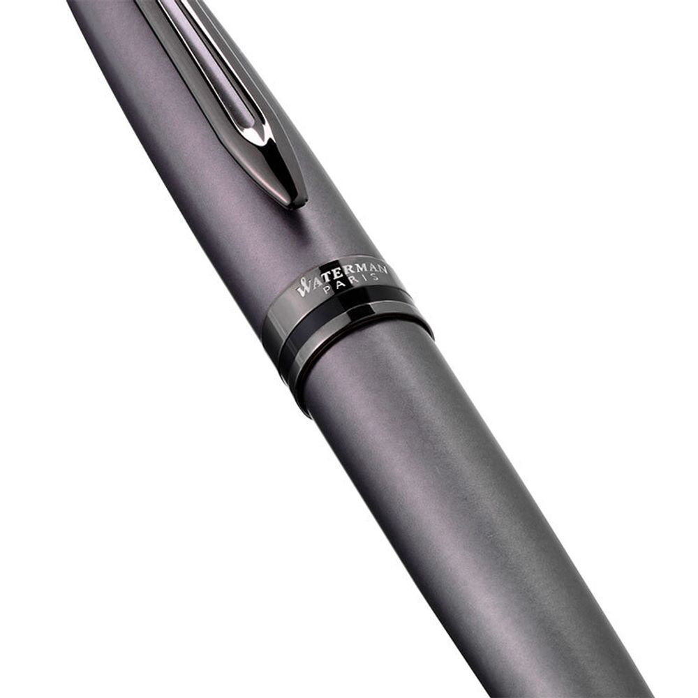Ручка-роллер Waterman Expert DeLuxe Metallic Silver RT (2119255) 2