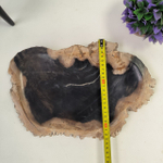Набор из окаменелого дерева 3 предм Fossil Set NF-62867 поднос 23см*36см
