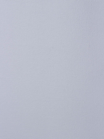 Rasch 1.06m*25 173703 Wallton