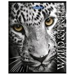 Тетрадь А5, 48 л., BRAUBERG ЭКО, клетка, обложка картон, ДИКИЕ И СВОБОДНЫЕ, 401810, 5шт