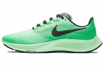Кроссовки Nike Pegasus 37
