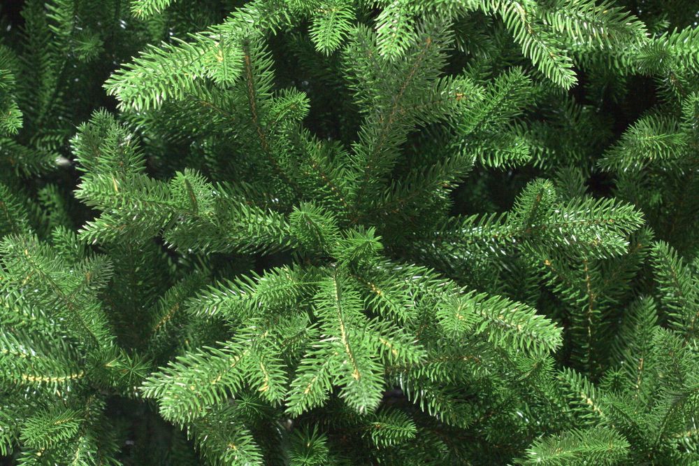 Ель искусственная «Изумрудная» (Литая хвоя) 120 см / 1,2 м