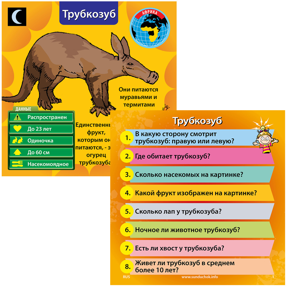 Сундучок Знаний В мире животных