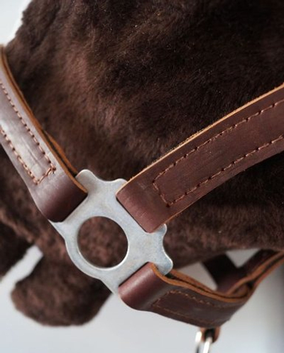 Недоуздок кожа