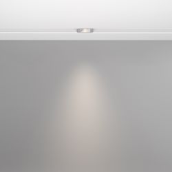 Трековый светильник светодиодный Maytoni Exility   TR100-2-2W4K-S-W