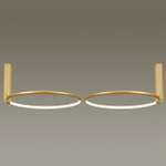 Потолочный светодиодный светильник Odeon Light ANNEL 4319/32CL