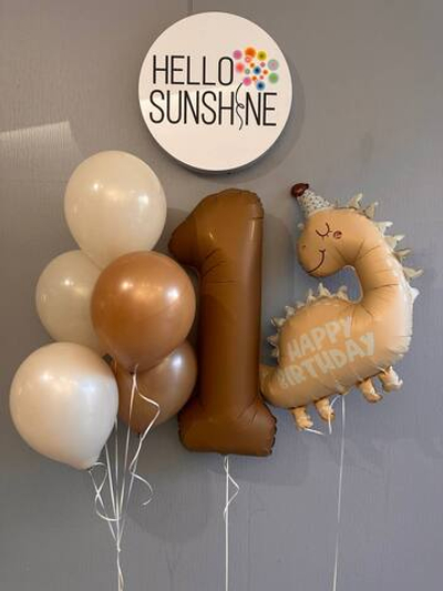 Набор шаров Дино