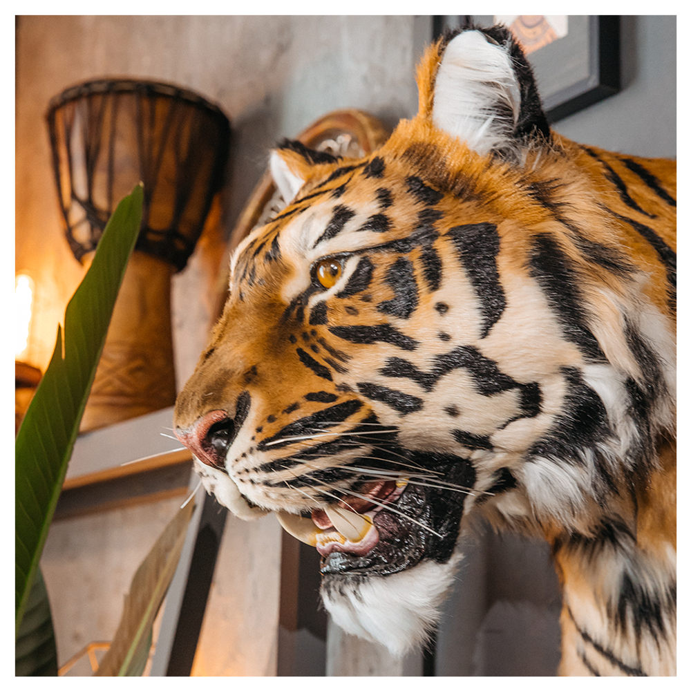 Реплика головы «Амурский тигр»