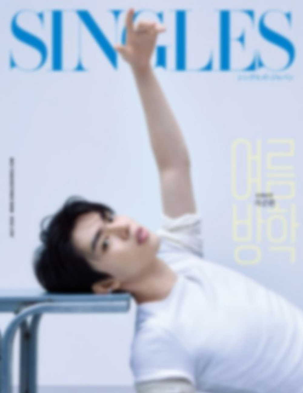 (ПРЕДЗАКАЗ) публикация SINGLES JAPAN - VOL.19 CHA JUN HWAN