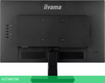 Монитор Iiyama ProLite XU2492HSU-B6