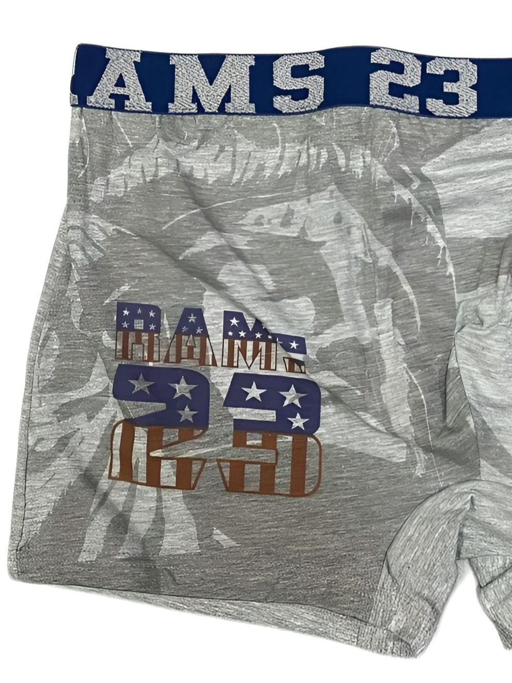 Мужские трусы боксеры серый меланж с принтом, хлопок L/50, Primal