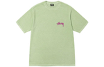Футболки Stussy FW22 Skate Posse Pigment Dyed Tee T, 1904832