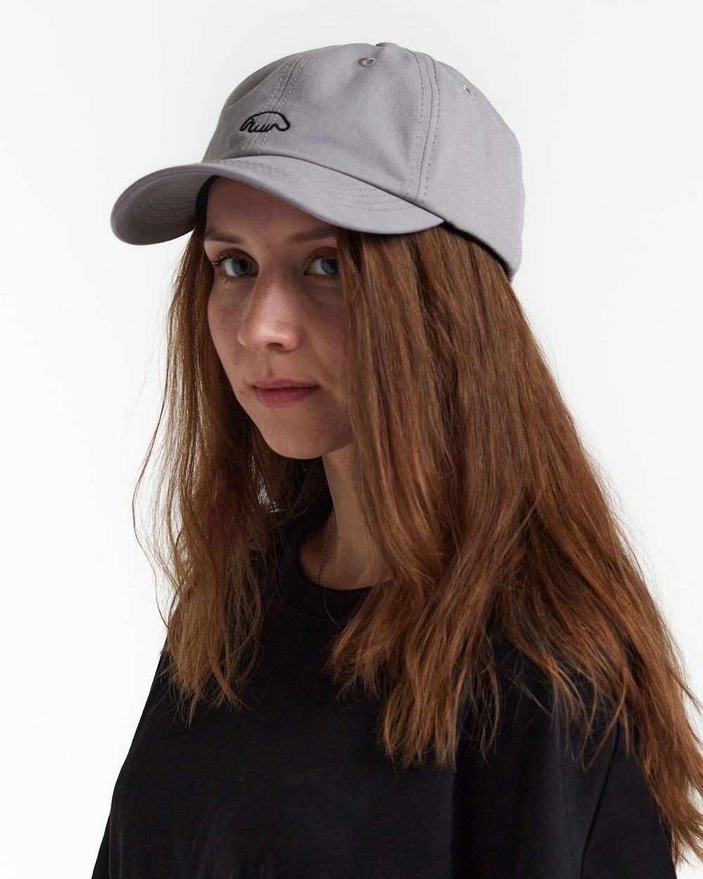 Кепка Anteater 6Panel серая