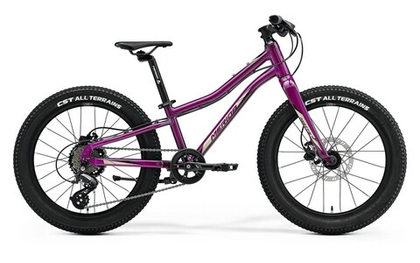 Детский велосипед Merida Matts J.20+ (2022)