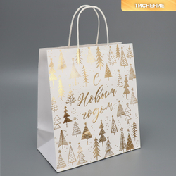 Пакет подарочный крафтовый «Новогодняя пора», 22 х 25 х 12 см