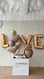 Воздушные шары №6058