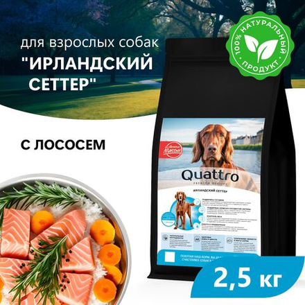 Корм сухой для взрослых собак породы Ирландский сеттер, премиум полнорационный комплекс, с лососем, 2,5 кг, QUATTRO