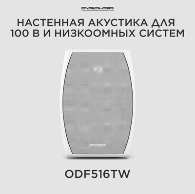 CVGAUDIO ODF516TW Двухполосная настенная акустическая система