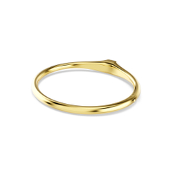 DEXTERA:BANGLE TAG CRE/GOS L